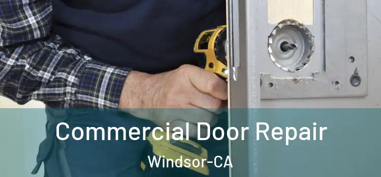  Commercial Door Repair Windsor-CA