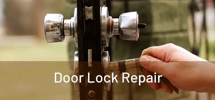  Door Lock Repair 
