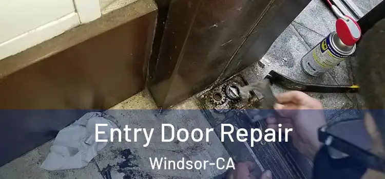  Entry Door Repair Windsor-CA