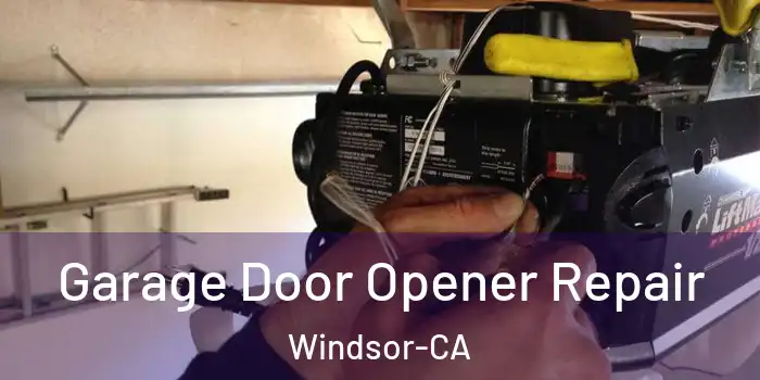  Garage Door Opener Repair Windsor-CA