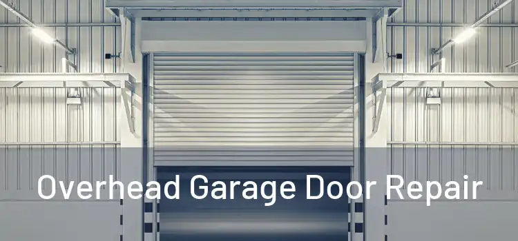 Overhead Garage Door Repair 